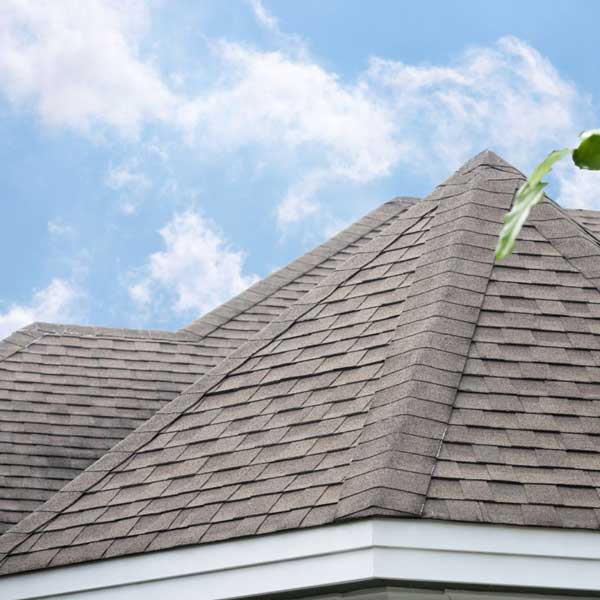 Shingle Roof Installation