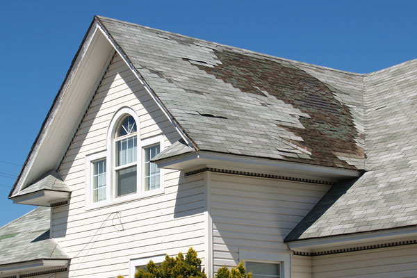 View All Roof Repair Services